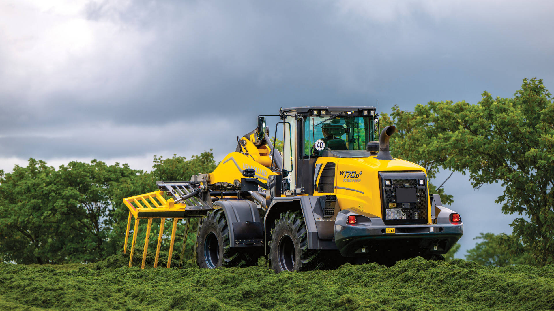 ModelLineDefaultTopImage