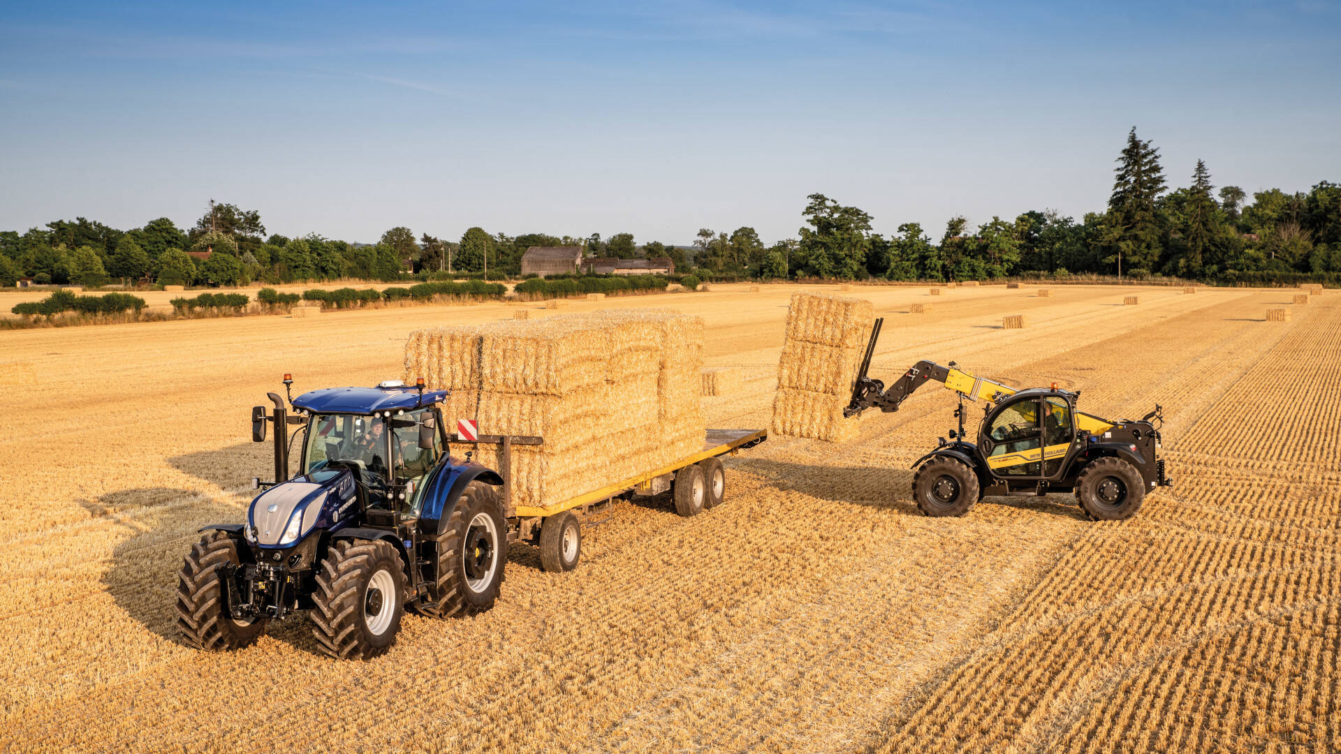 ModelLineDefaultTopImage