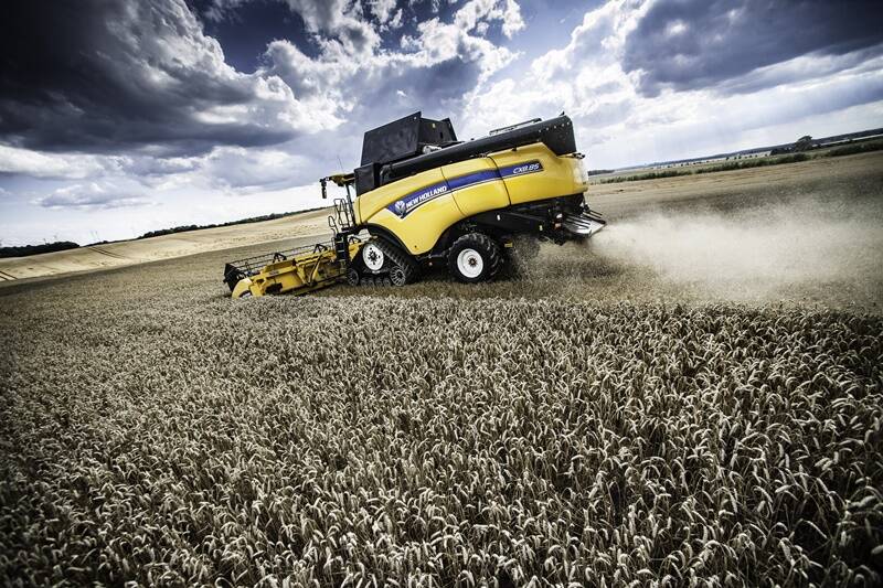 Výkonnost v obilovinách