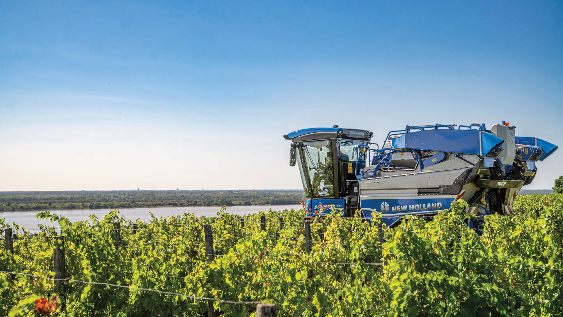 ModelLineDefaultTopImage