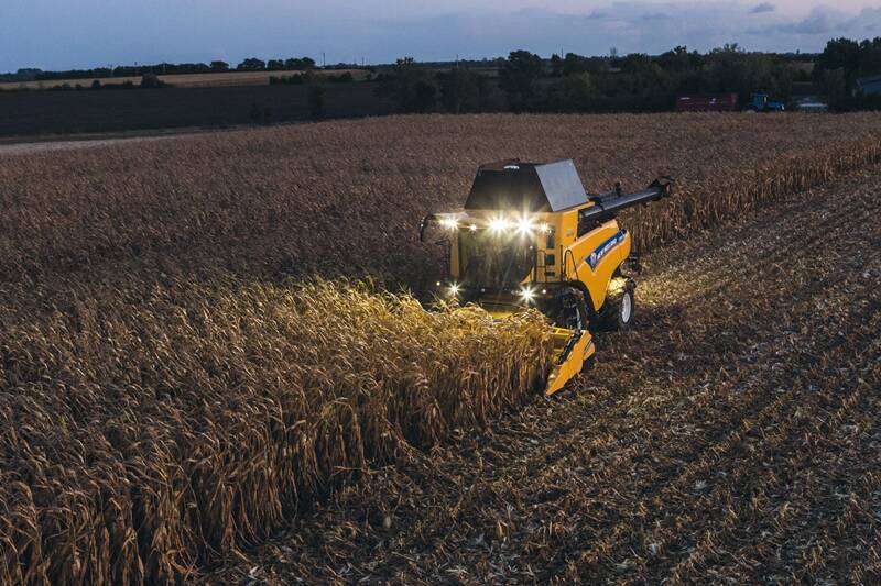 Výkonnost v obilovinách