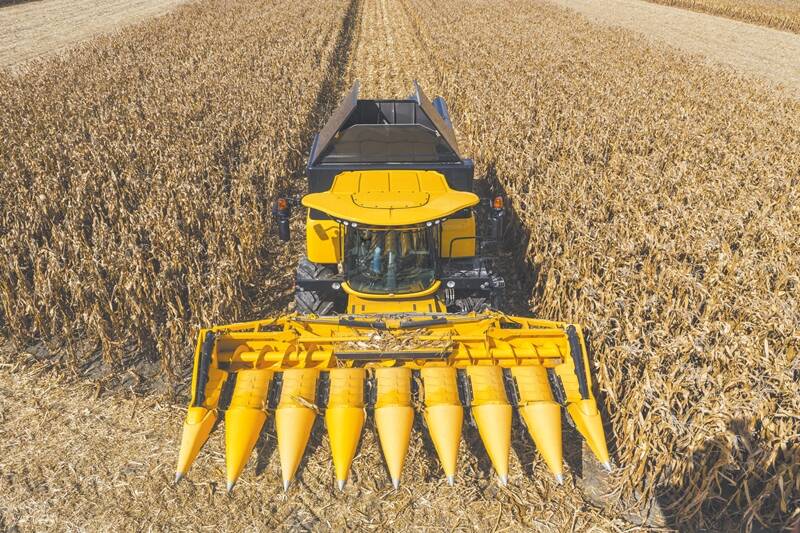 Připravenost na kukuřici