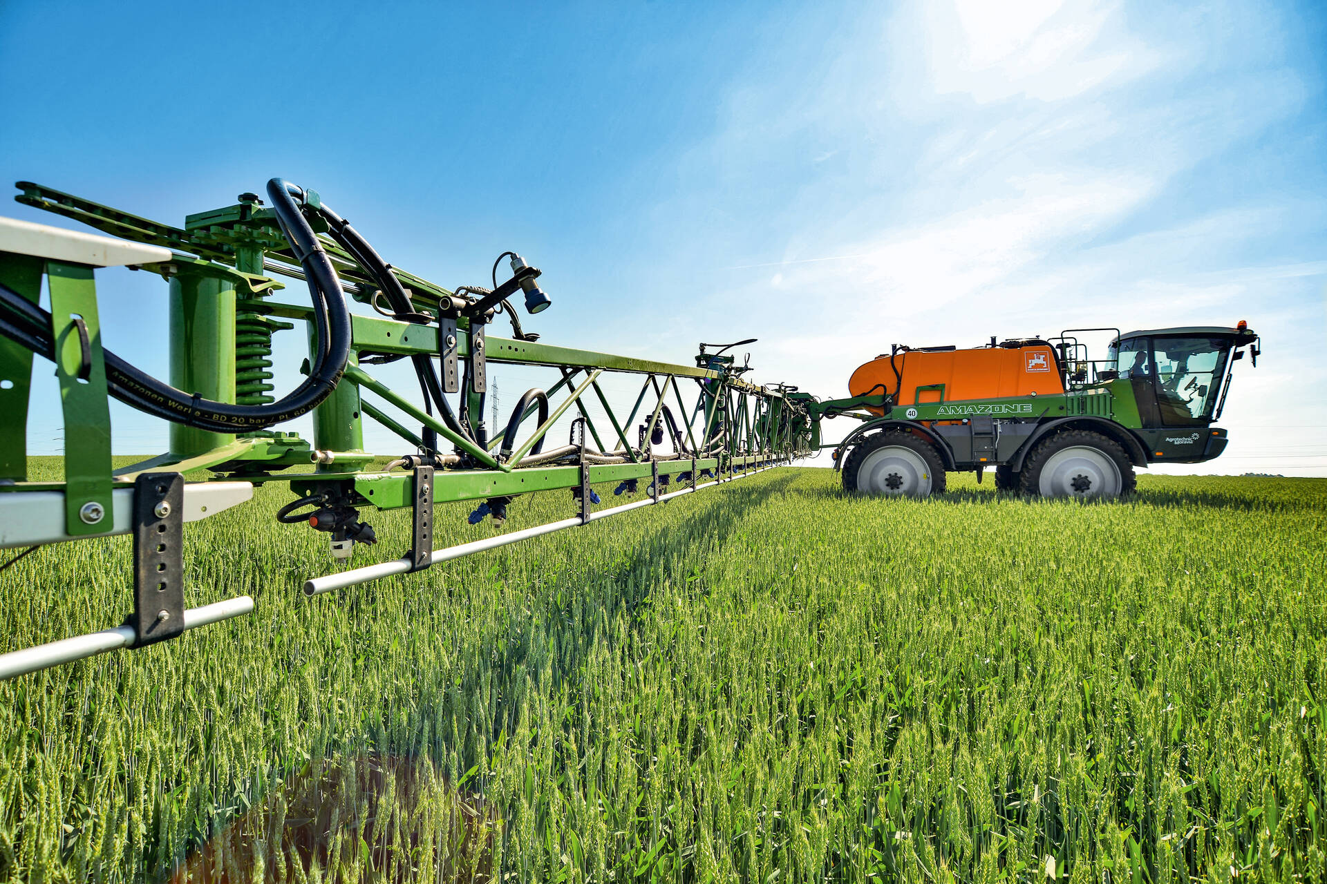 ModelLineDefaultTopImage