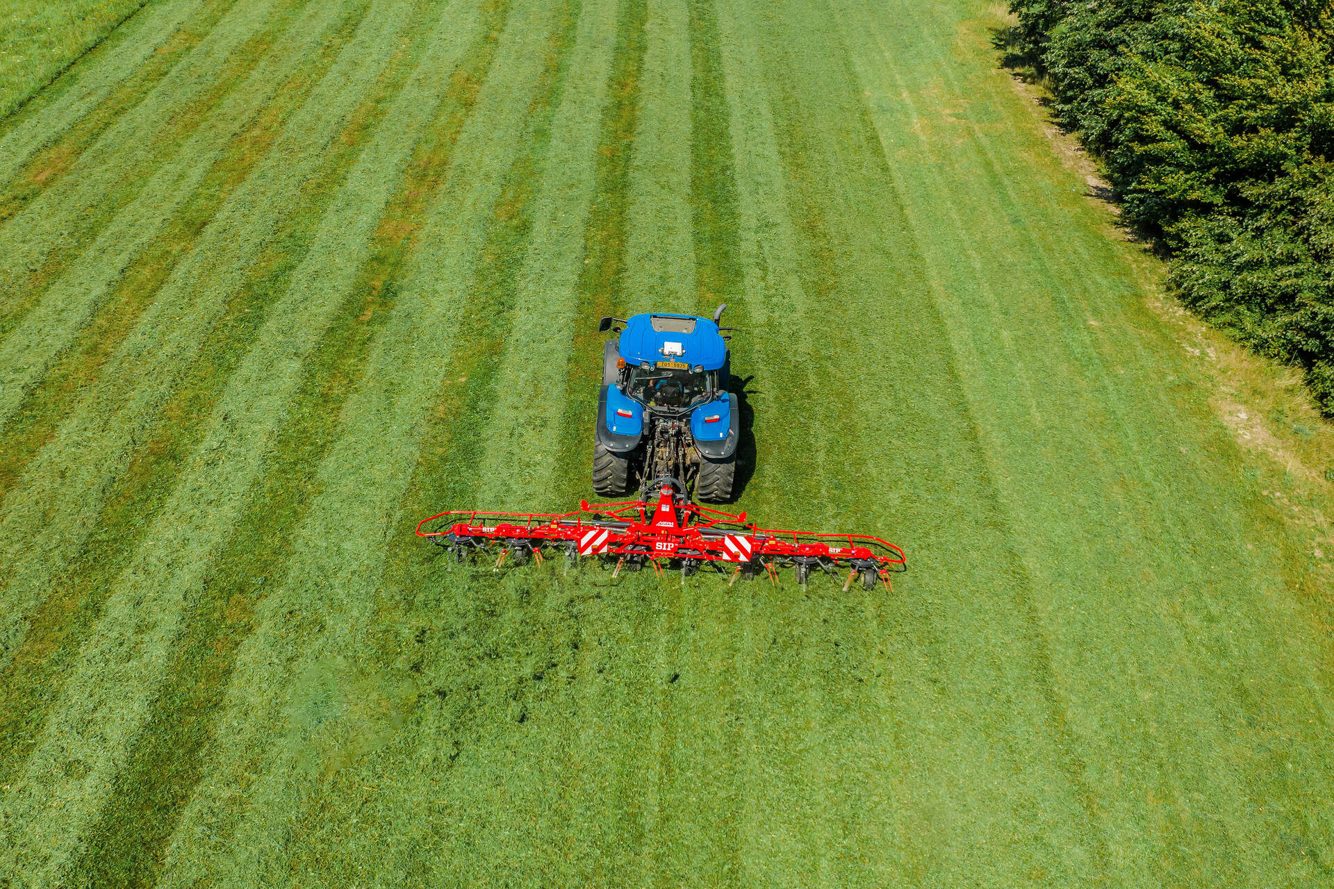 ModelLineDefaultTopImage