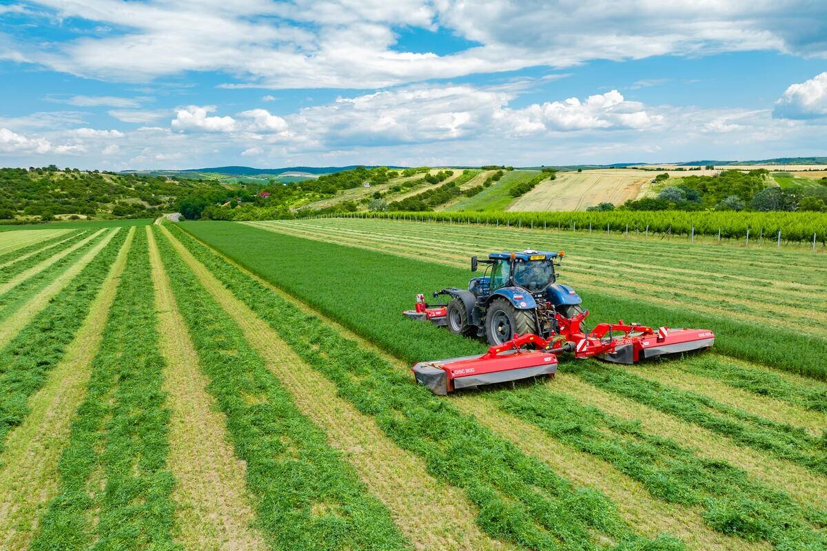 ModelLineDefaultTopImage